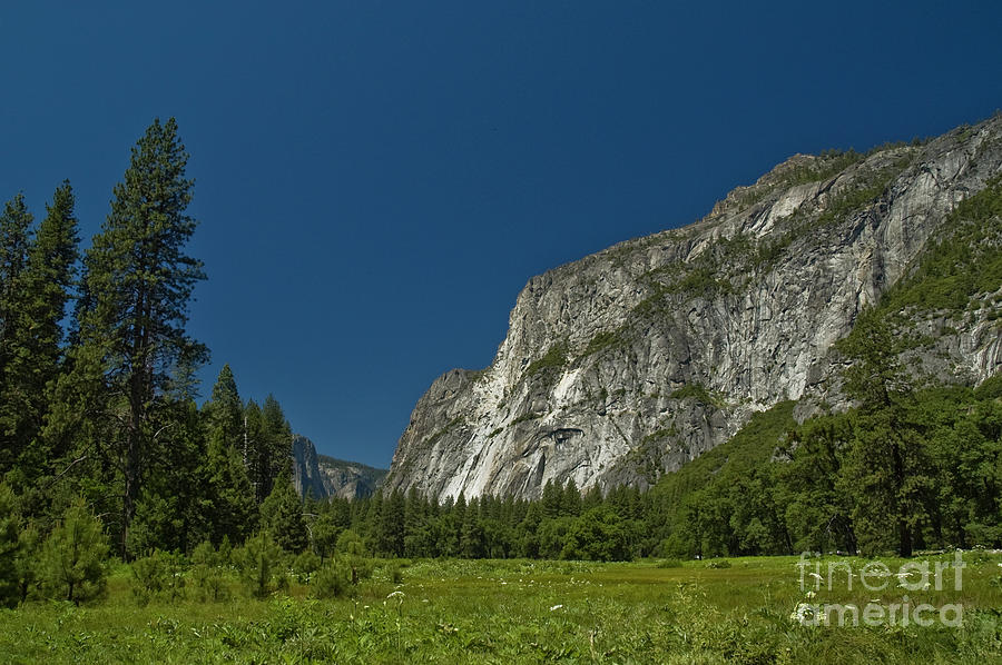 Yosemite High Mountain Valley Photograph by Tim Mulina