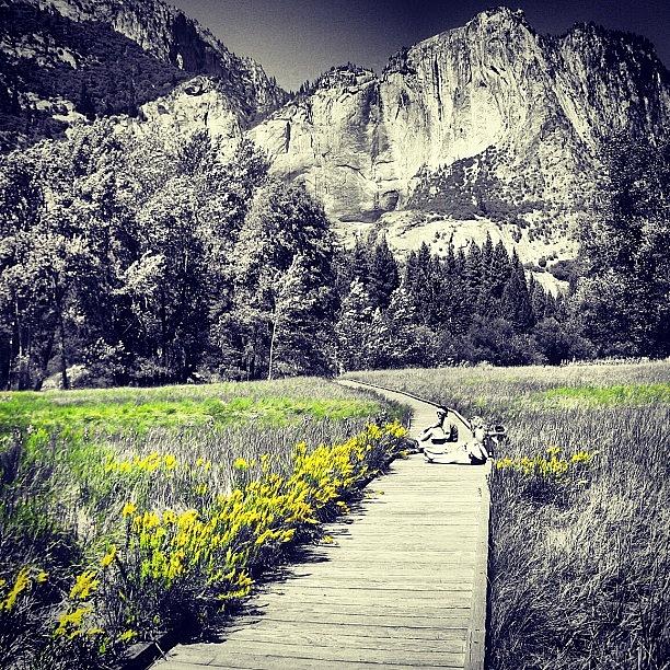 Yosemite National Park Photograph - Yosemite by Jessica Daubenmire