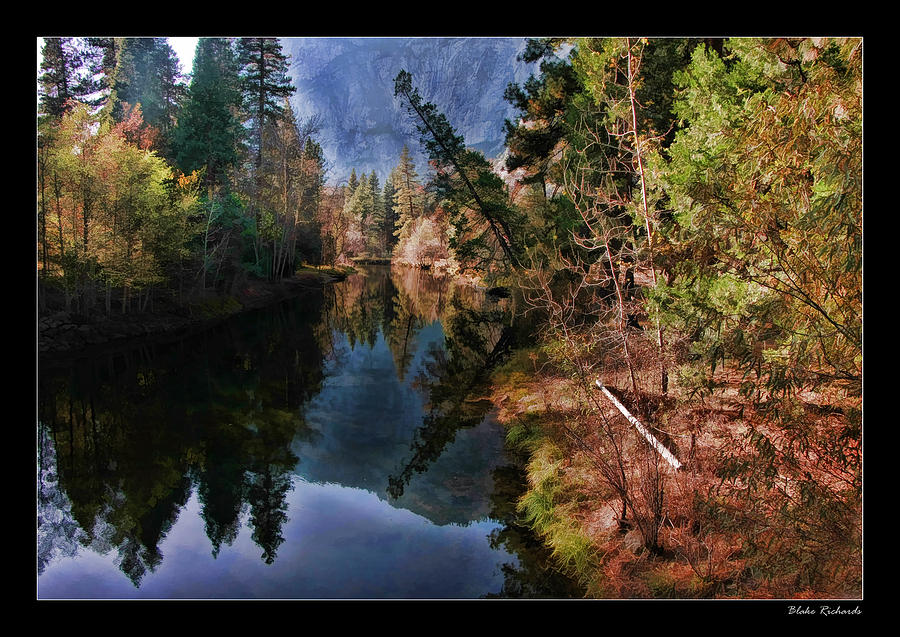 Yosemite Leaning Tree over Lake Photograph by Blake Richards