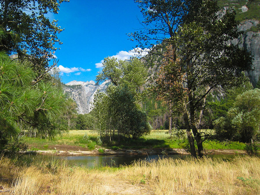 Yosemite National Park Photograph - Yosemite Meadow by Heidi Smith