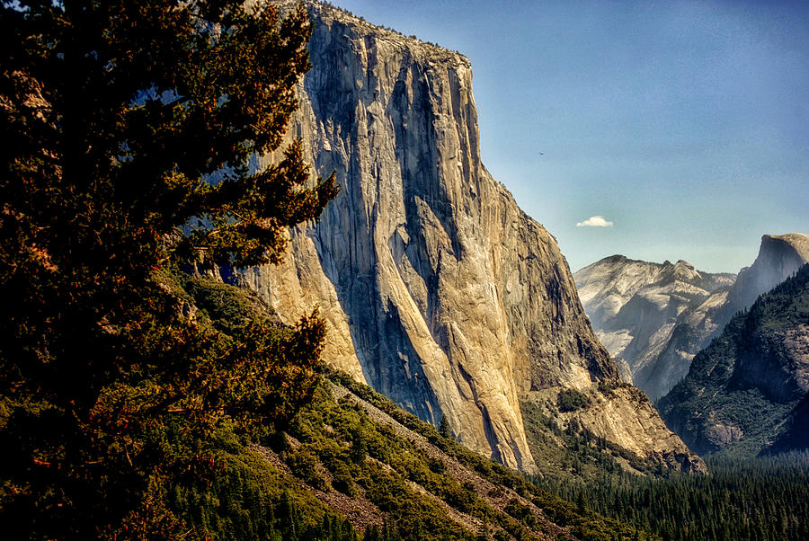 Yosemite Midday Photograph by Tricia Marchlik