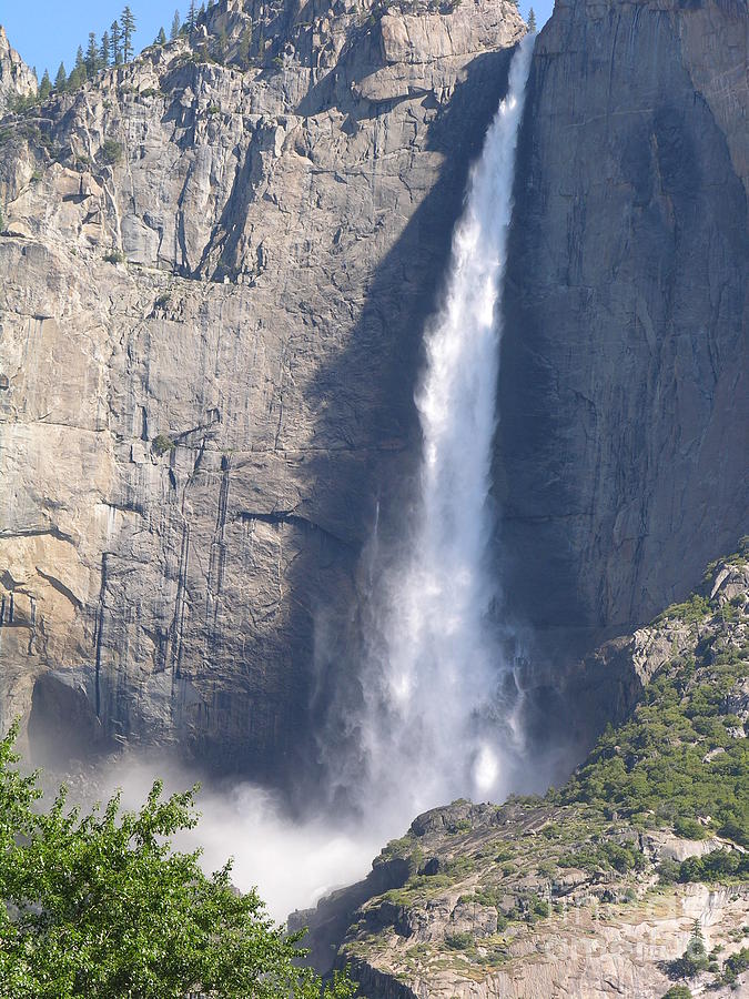 Yosemite National Park  2011 Photograph