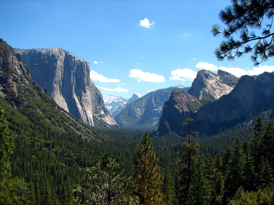 Yosemite Panorama Photograph by Carla Parris