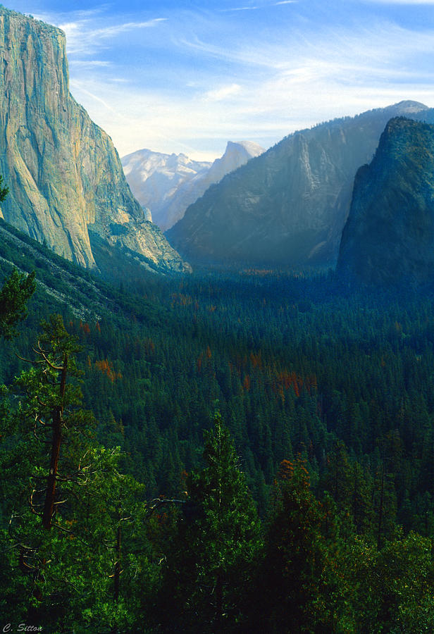 Yosemite Park Photograph by C Sitton
