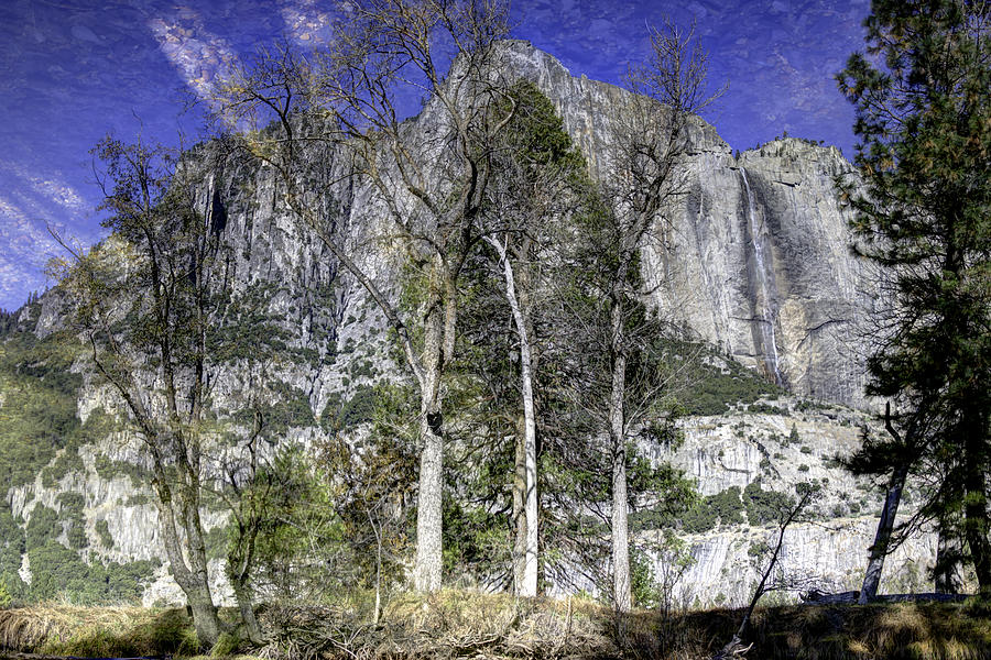 Yosemite National Park Photograph - Yosemite Reflection by Mike Herdering