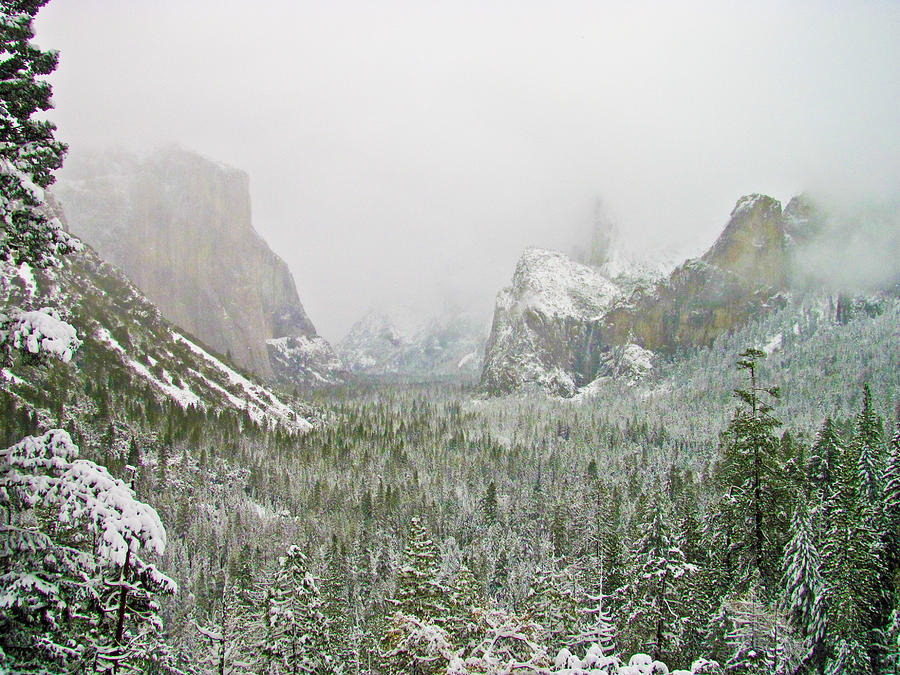 Yosemite Snow Storm Photograph by Heidi Smith