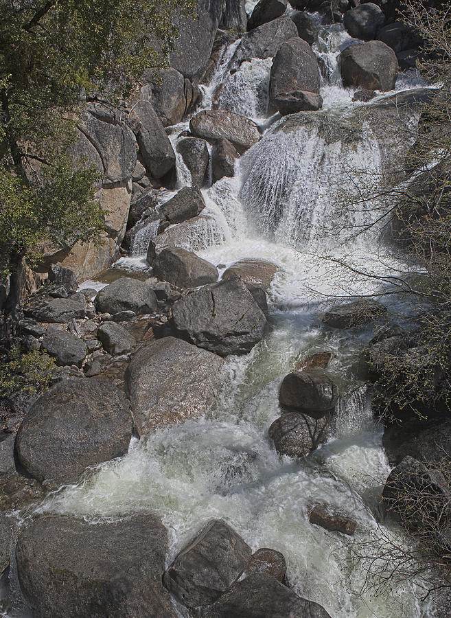 Yosemite Stream Photograph by Gregory Scott