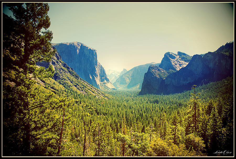 National Parks Photograph - Yosemite Valley by Linda Olsen