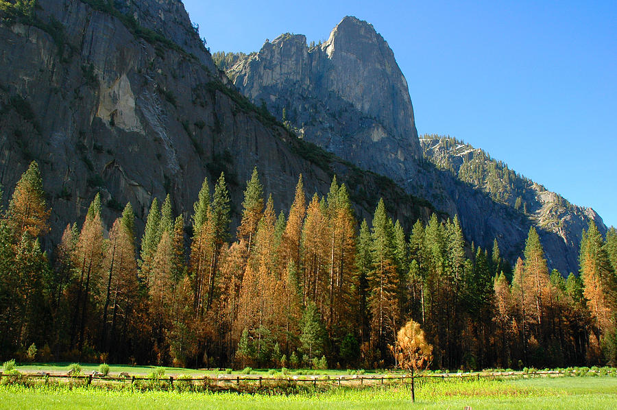 Yosemite Valley Photograph by Lynn Bauer