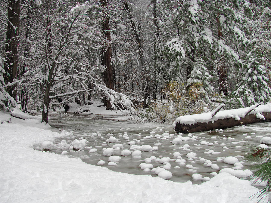 Yosemite Winter Photograph by Heidi Smith