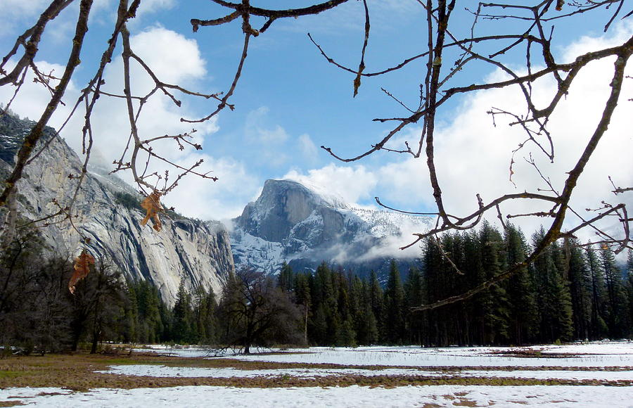 Yosemites Half Dome in Winter Snow and Meadow Photograph by Jeff Lowe