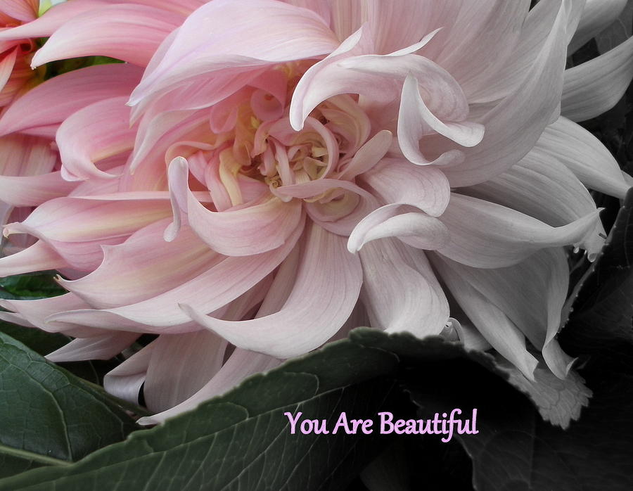 You Are Beautiful Photograph by Sian Lindemann