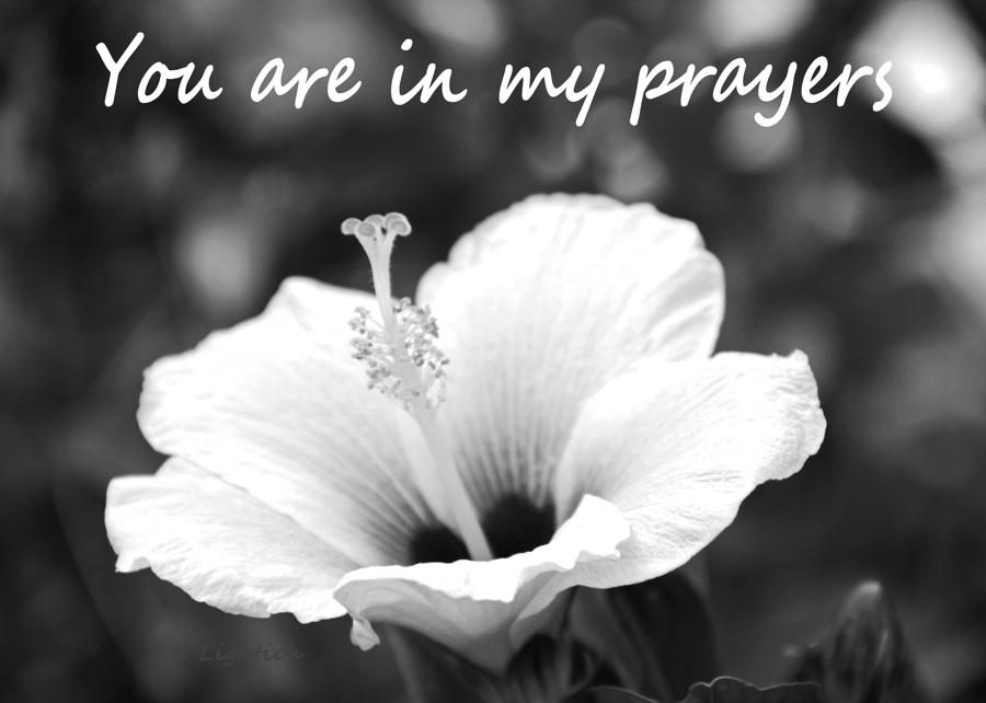 You Are In My Prayers Card - black and white Hibiscus Photograph by Kerri Ligatich