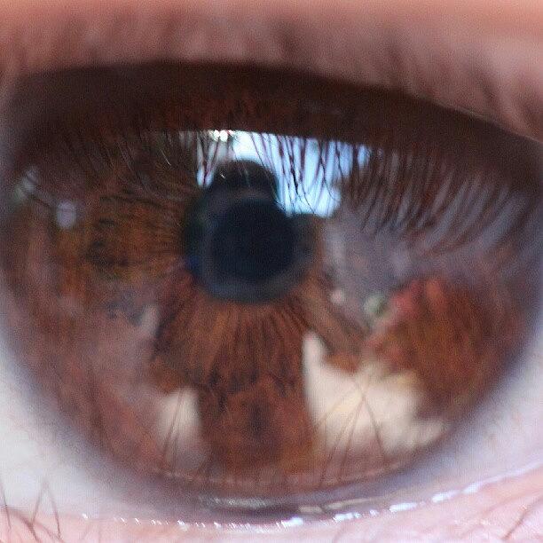 Iris Photograph - You Can See Me Through The Eyes #eyes by Saul Jesse Beas