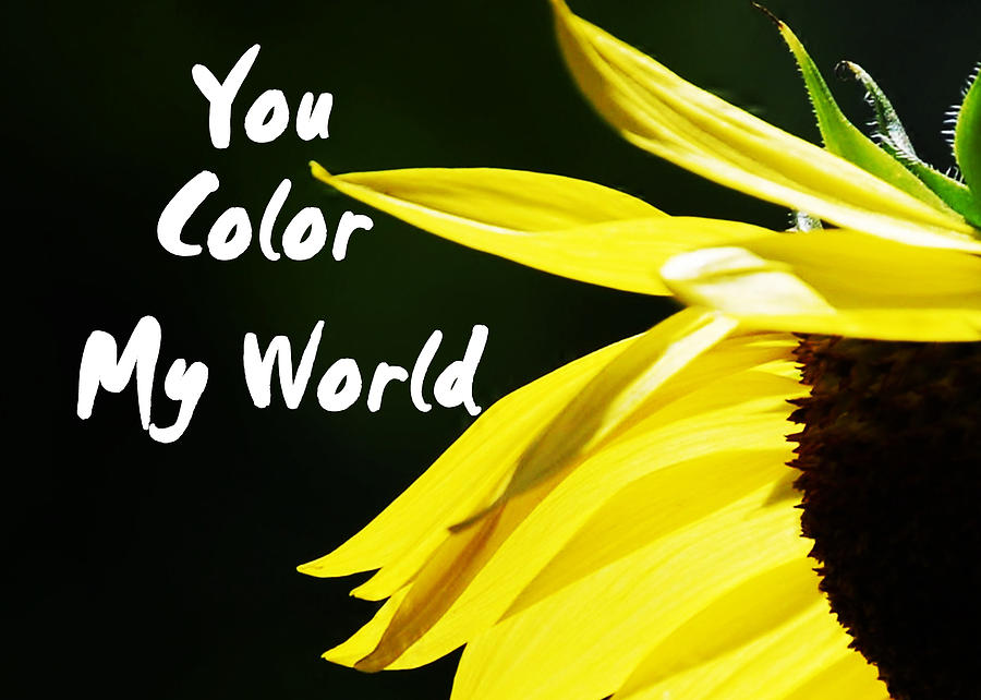 You Color My World Photograph by Judy Hall-Folde
