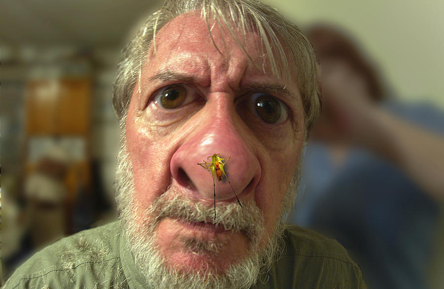 You have a Bug on your Nose Photograph by Larry Mulvehill