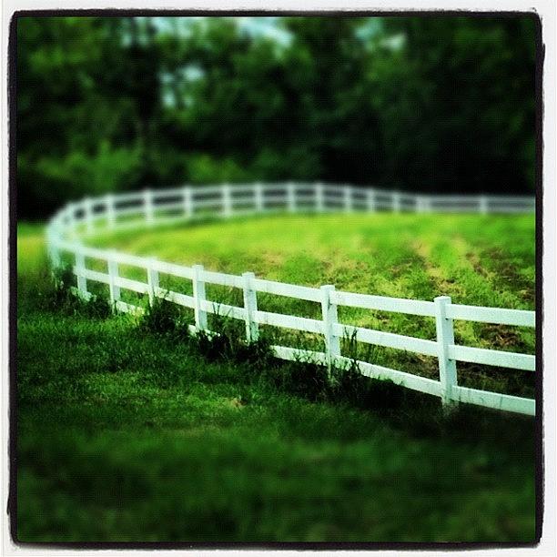 Nature Photograph - You Know A Good #fence by Molly Slater Jones