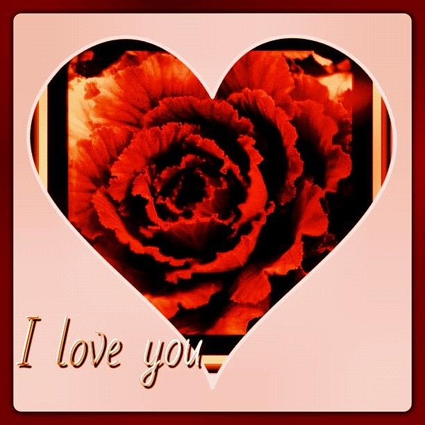 Rose Photograph - You Like My #love #card ? #greetingcard by Alicia Greene