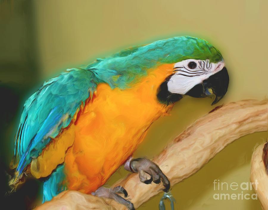 Young Blue Macaw Parrot 3 Painting by Smilin Eyes Treasures