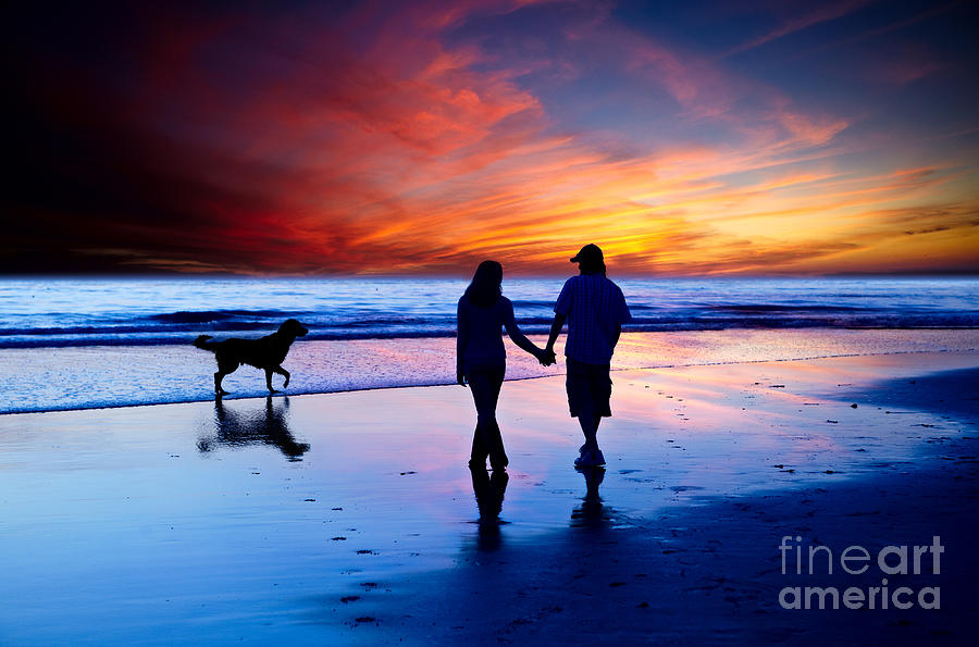 Young Couple In Love Walking On The Beach With Golden Retriever