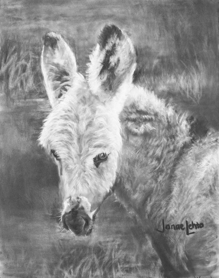 Young Donkey Painting by Janae Lehto