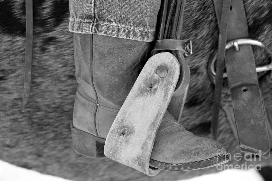 Boot Photograph - Young rider by Pamela Walrath