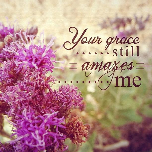 Flower Photograph - Your Grace Still Amazes Me // Phillips by Traci Beeson