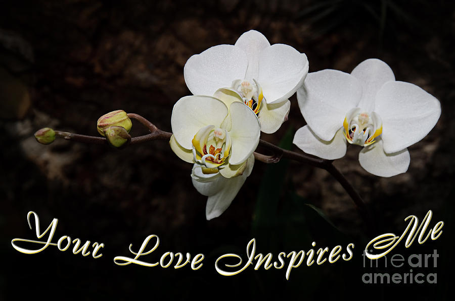 Your Love Inspires Me Photograph by Andee Design