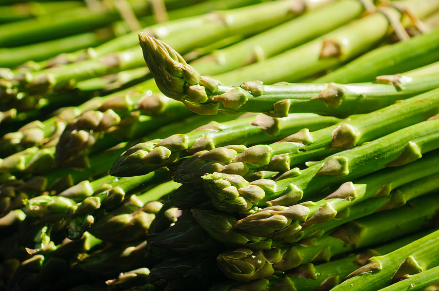 Yummy Asparagus Photograph by Connie Cooper-Edwards