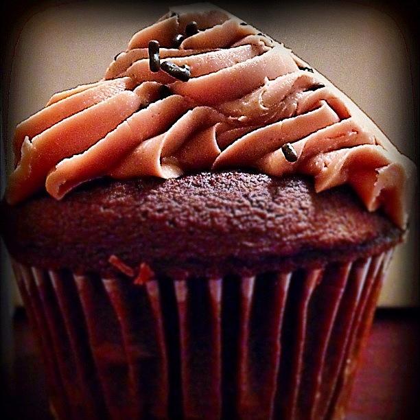 Chocolate Still Life Photograph - Yummy Cupcake :) by Stephanie Thomas