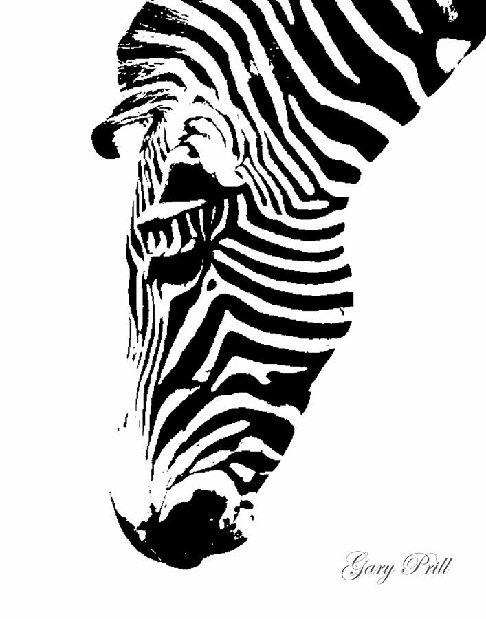 Black And White Photograph - Zebra by Gary Prill