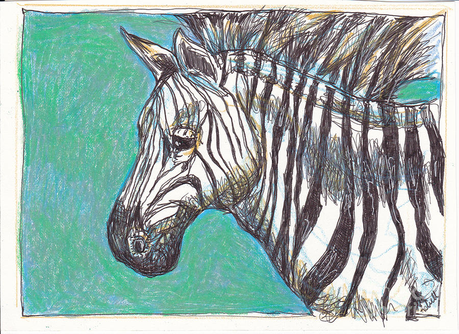 Animal Drawing - Zebra Postcard by Michele Hollister - for Nancy Asbell