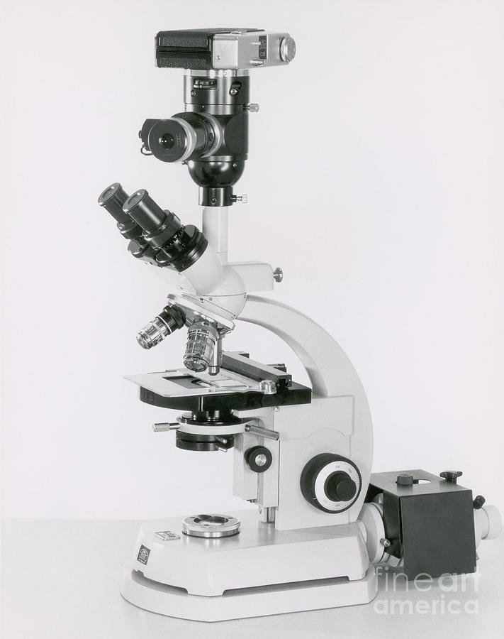 Zeiss Standard Microscope Photograph by Omikron