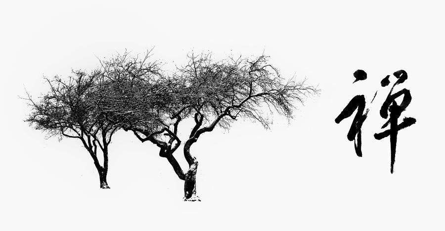 Tree Photograph - Zen by Bill Cannon