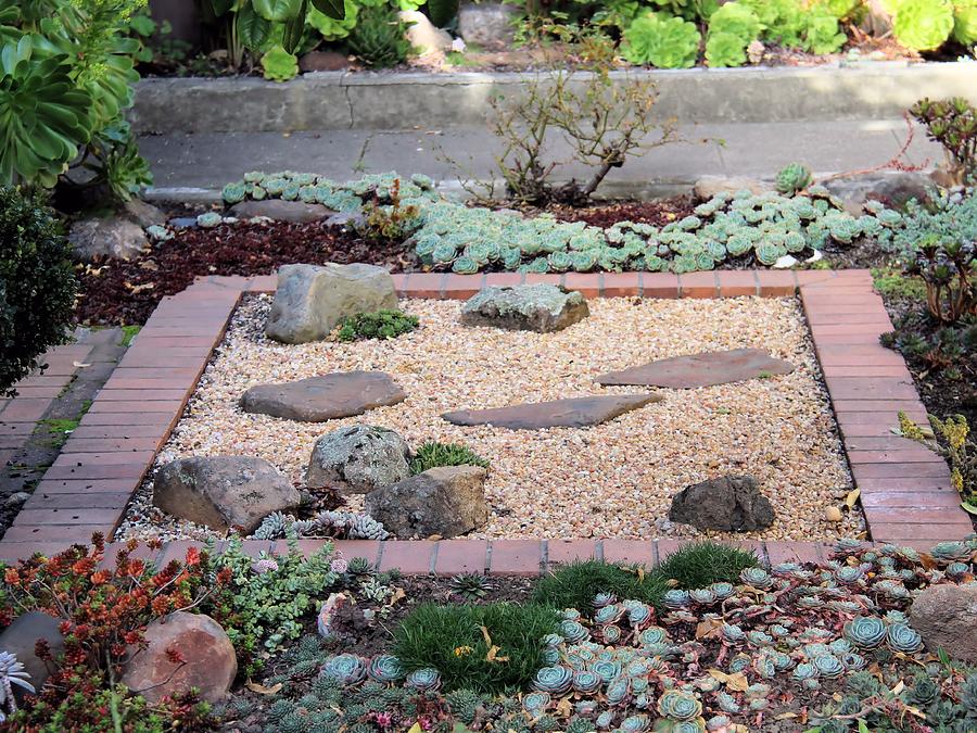 zen garden in SF Photograph by Gerry Fortuna