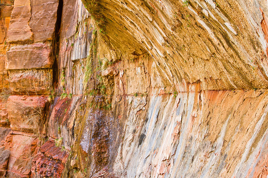 Zion Cliff Textures Photograph by Adam Pender