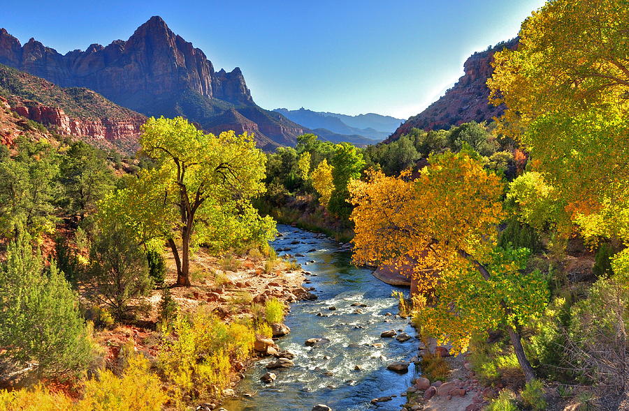 Zion Colors Photograph by Michael Biggs - Fine Art America