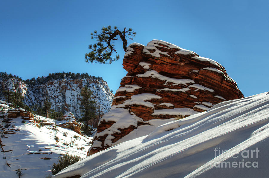 Zion National Park In Winter Photograph by Bob Christopher