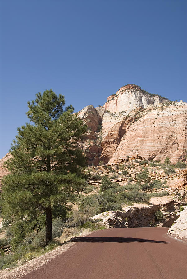 Zion Mount Camel Highway Photograph by Gloria & Richard Maschmeyer ...