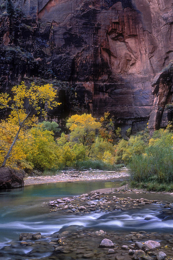 Zion National Park Photograph by Dave Mills