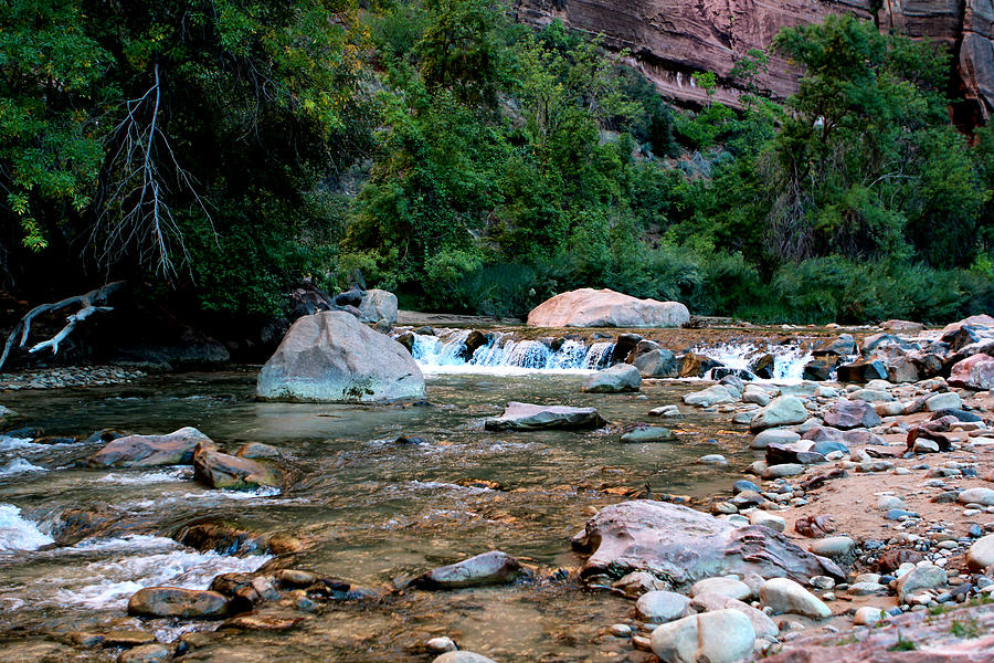 Zion National park Photograph by Tom Prendergast