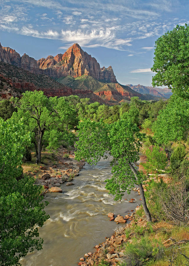 Zion National Park View Photograph by Dave Mills