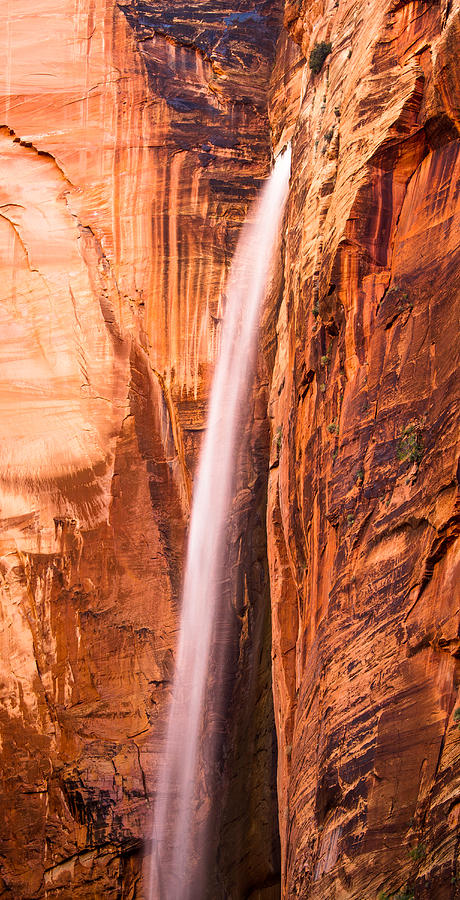 Zion Waterfall Photograph by Adam Pender