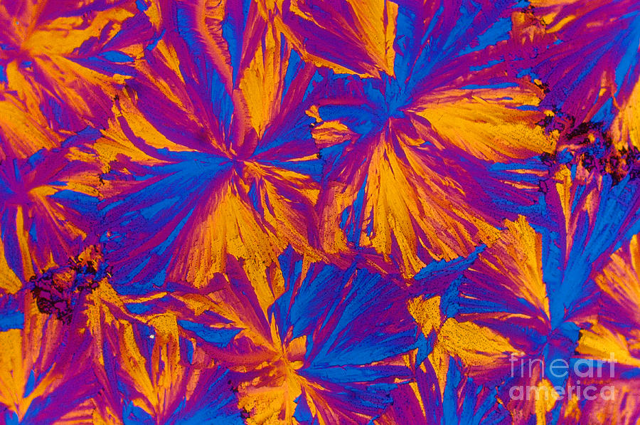 Zorivax Crystal Photograph by Michael W. Davidson