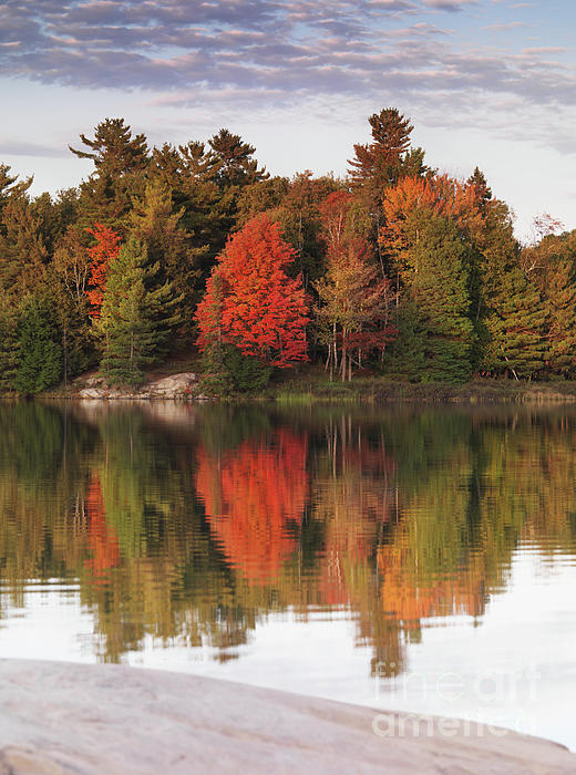 Maxim Images Exquisite Prints - Autumn Nature Lake and Trees