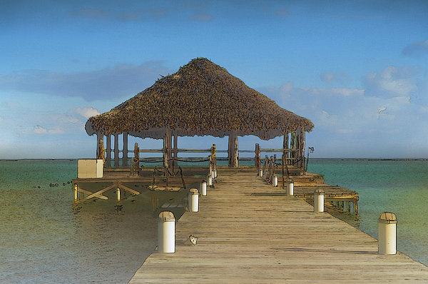 Beach Deck With Palapa Floating In The Water by Brandon Bourdages