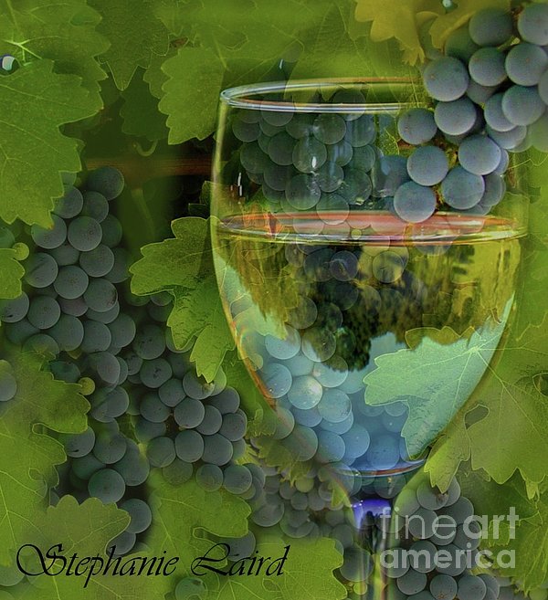 Cool Wine Glass Art Ornament by Stephanie Laird - Fine Art America