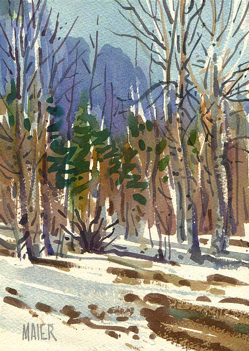 Donald Maier - Yosemite Valley in Winter