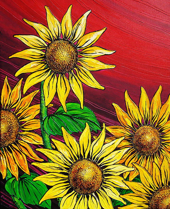 Juan Alcantara - A Burst of Sunflowers