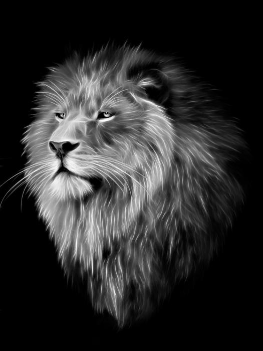 Aslan Narnia Watercolor Lions | Greeting Card